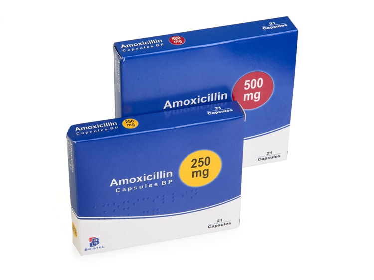 buy amoxicillin online overnight