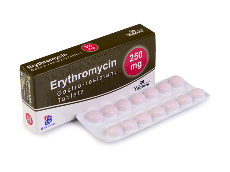 bristol-laboratories-erythromycin